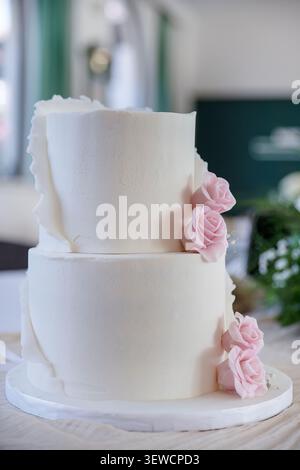 Elegant two-tier white cake decorated with delicate pink sugar roses and textured fondant details, displayed on a reception table in an indoor venue Stock Photo