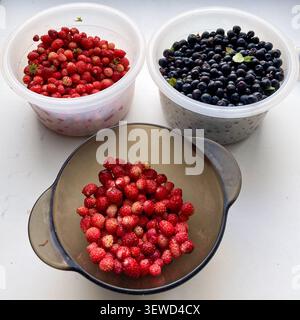 Bright wild strawberries and juicy blueberries in clear bowls on a white surface Stock Photo