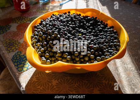 A large yellow bowl overflowing with fresh blueberries sits on a patterned tablecloth bathed in warm sunlight, evoking summer harvest Stock Photo