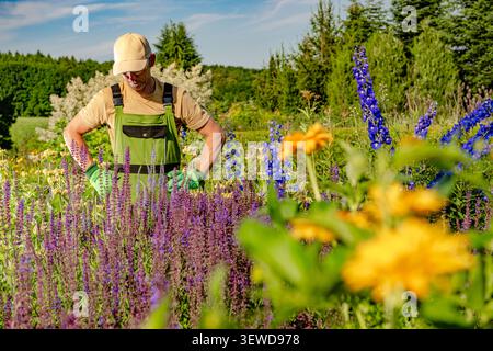A person tends to blooming flowers in a garden on a sunny afternoon. The garden is filled with various colorful plants. Green foliage surrounds the sc Stock Photo