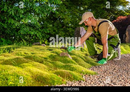 A person kneels on the ground, arranging small rocks on a green mossy surface. The setting is a garden with trees in the background. Hands are covered Stock Photo