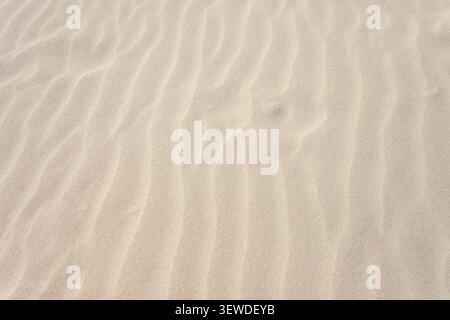 Sandy patterns created by the wind from the sand on the beach, top view Stock Photo