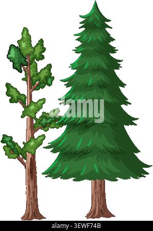 Flat vector illustration of a tall pine tree and leafy deciduous tree on white background. Stock Vector