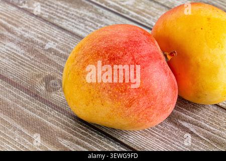 Ripe mangoes with yellow red skin rest on rustic wooden table. Natural lighting highlights texture vibrant colors. Composition focuses on fruit freshn Stock Photo