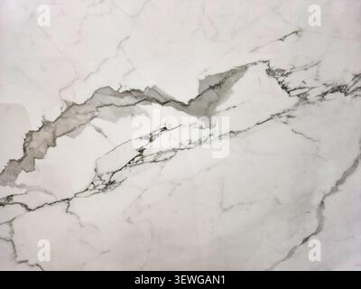 A close-up view of a polished white marble slab showcasing intricate dark gray veins and subtle texture, perfect for interior design inspiration Stock Photo