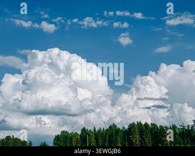 Spectacular towering cumulus clouds rise above a lush forest beneath a vivid blue sky. A striking natural landscape ideal for weather, climate, enviro Stock Photo
