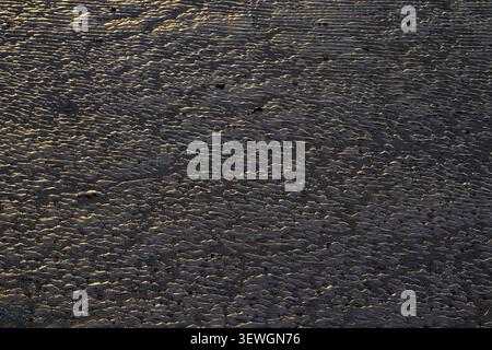 Golden light catching rippled sand patterns across estuary mudflat surface Stock Photo