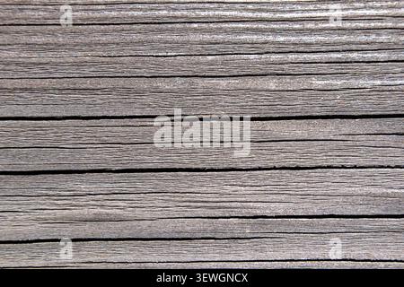 Weathered timber boards showing grain lines and surface cracking Stock Photo