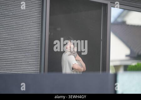 Woman holds cat behind window screen. Soft light reveals quiet, tender moment. Cat rests calmly in her arms. Modern home features visible through scre Stock Photo