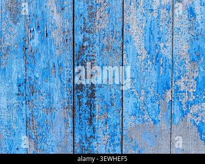 Blue background Texture of Antique Weathered Fence with Peeling Paint and Grey Wood Surface. Stock Photo