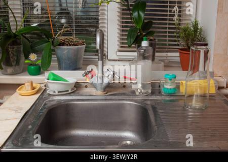 A close-up view of a stainless steel kitchen sink and faucet, with various plants and cleaning items arranged on the windowsill behind it Stock Photo