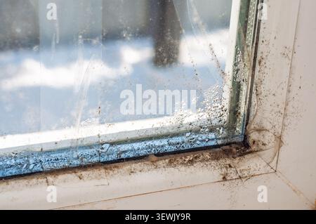 Close-up of a dirty, moldy window frame with condensation and grime buildup Stock Photo