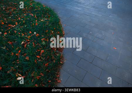 A close-up view shows fallen orange leaves resting on lush green grass next to a dark gray paved path with a rectangular brick pattern Stock Photo