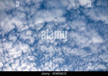 Altocumulus clouds drifting across a bright blue sky creating a peaceful textured pattern above the landscape Stock Photo