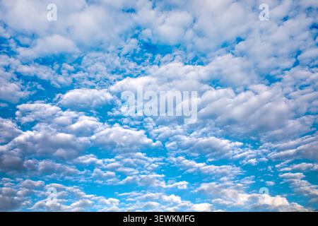 Altocumulus clouds drifting across a brilliant blue sky creating a peaceful pattern on a hot summer day Stock Photo