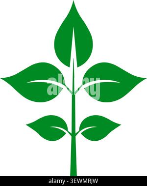Green plant with five leaves graphic icon with White Background Stock Vector