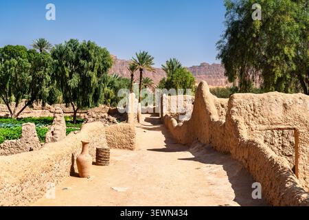 Detailed view of traditional mud brick walls and lush palm trees in the Daimumah Oasis of AlUla, Saudi Arabia. Stock Photo