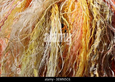 Macro shot of frayed colorful synthetic ropes and industrial fibers showing detailed texturing Stock Photo
