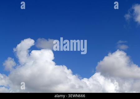 White clouds floating in a vibrant blue sky on a bright sunny day Stock Photo