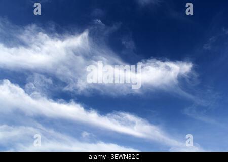 Fluffy white cumulus and wispy cirrus clouds drifting across a vibrant, deep blue sky Stock Photo
