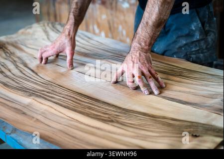 A carpenter examines exotic wood veneer sheets with beautiful natural grain patterns in a woodworking workshop, highlighting the quality of materials Stock Photo