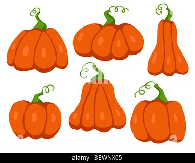 Autumn pumpkin vector set with curly stems isolated on white background. Stock Vector