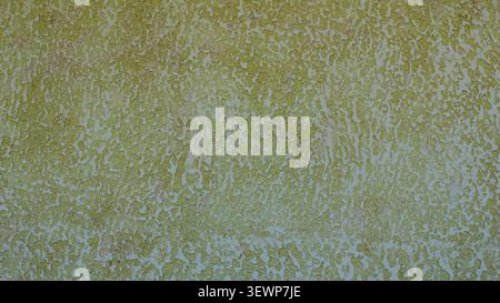 Decorative bark beetle plaster in yellow-green tones. The wall's textured surface is covered with a chaotic grain pattern with grooves and cracks Stock Photo
