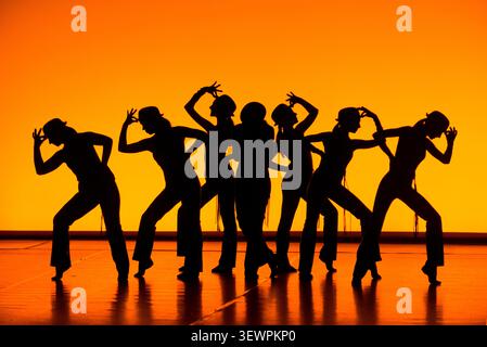 Silhouettes of Contemporary Dancers Stock Photo