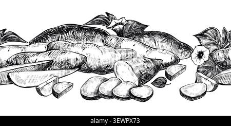 A seamless pattern, of sweet potatoes. Vector sketch of yams lying on a table. Whole batsts, halves, nippers and slices depicted in an engraved style. Stock Vector