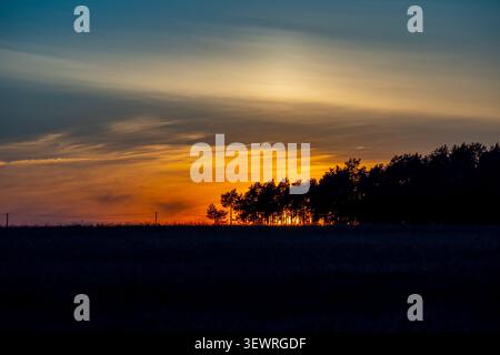 Beautiful golden sunset over a dark meadow with a silhouette of a pine forest under a dramatic sky. Scenic evening landscape in rural area Stock Photo