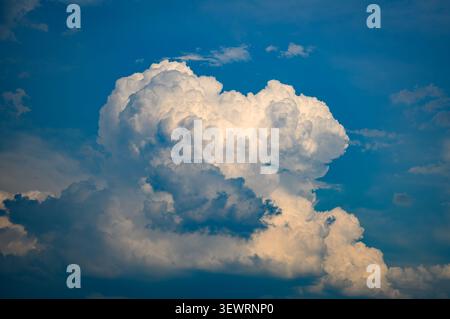 Sieversdorf, Germany. 28th June, 2026. A cumulus cloud is forming in the sky over eastern Brandenburg. The dense, cauliflower-like formations in the upper part of the cloud glow pure white in the bright sunlight. They form when warm air bubbles rise into the sky. Credit: Patrick Pleul/dpa/Ģ����ý Live News Stock Photo