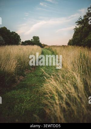long path that winds through tall grasses on a sunny day Stock Photo