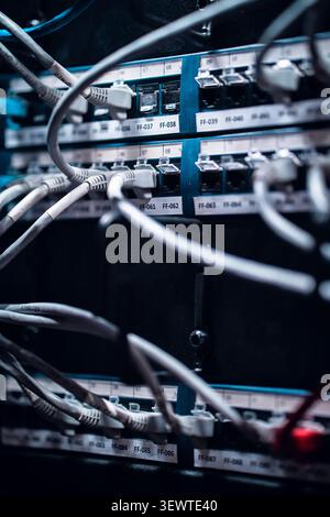 View of network cables connected to a server rack patch panel in a data center in Los Angeles, California, United States. Stock Photo