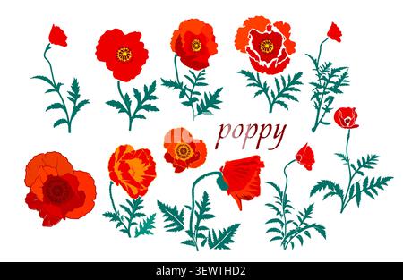 Set red poppy flowers with green leaves on white background Hand drawn. Not AI, vector illustration. Stock Vector