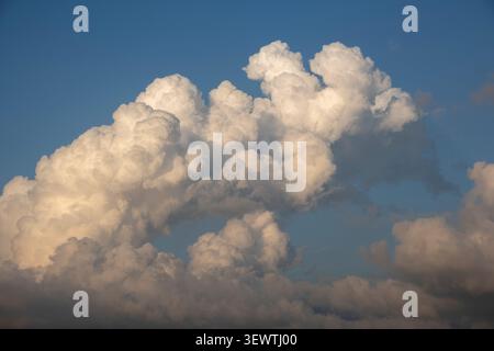 Large puffy cumulus cloud formation in a bright blue sky at sunset Stock Photo