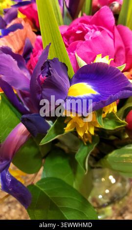 Vibrant Mixed Floral Arrangement Featuring Purple Iris and Pink Blossoms with Green Foliage Stock Photo