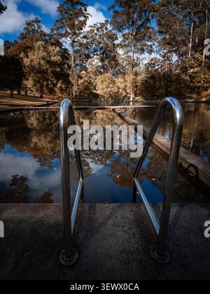 View of the Pemberton Swimming Pool surrounded by tall karri trees and forest foliage reflecting in the calm water with metal pool ladders, Pemberton, Stock Photo