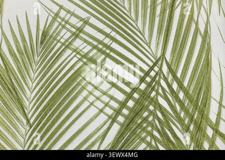 Green palm leaf pattern on a textured wallcovering Stock Photo