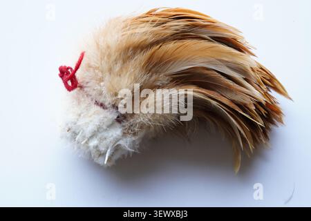 Feather texture close-up shows the linear texture and layered texture of feathers. Stock Photo