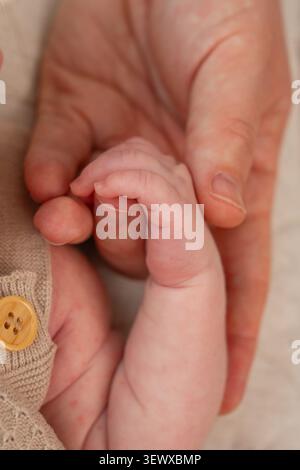 Vertical macro photograph of a mother and her newborn babys hands, illustrating the strong bond and the start of a lifelong connection. The soft light Stock Photo