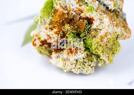 A dense layer of tiny green plants floats vividly, their fresh texture standing out sharply against the deep black background. Stock Photo