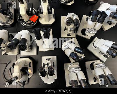 SYDNEY - JUNE 29 2026: An overhead aerial shot showing a structured arrangement of multiple professional optical microscopes positioned across workben Stock Photo