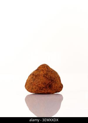 Single chocolate truffle with reflection on white Stock Photo