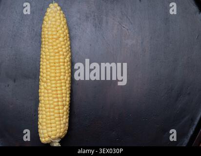 Top down view showing plump kernels and green husks with generous copy space for summer food concepts.Fresh yellow maize on a dark rustic surface Stock Photo