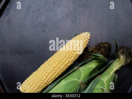 Top down view showing plump kernels and green husks with generous copy space for summer food concepts.Fresh yellow maize on a dark rustic surface Stock Photo
