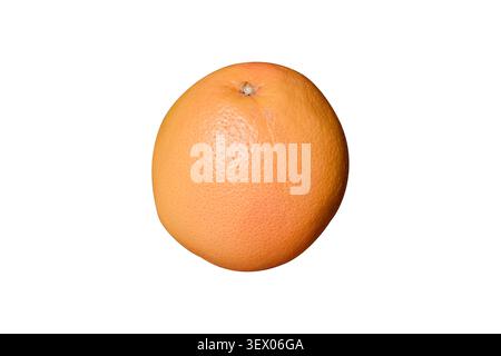 Pomelo in the sunlight, isolated on a white background. Stock Photo