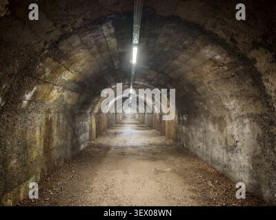 An empty tunnel, Rijeka tunnel, bunker with concrete walls in earthy tones, illuminated by lights and looks lonely and dark, Rijeka, Croatia Stock Photo