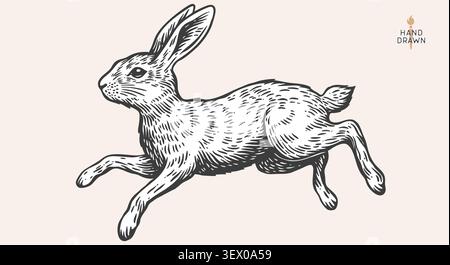 Hare, rabbit sketch. Vintage retro print Stock Vector