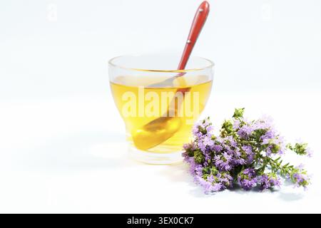 Thyme tea in a glass cup with a spoon beside fresh blooming thyme herbs, representing natural medicine and tranquility Stock Photo