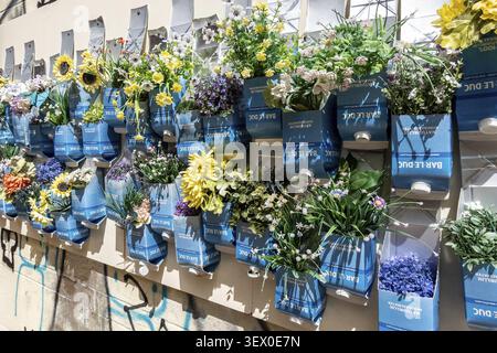 Colourful planters made from milk cartons on a house wall Groningen, Groningen province, the Netherlands Stock Photo